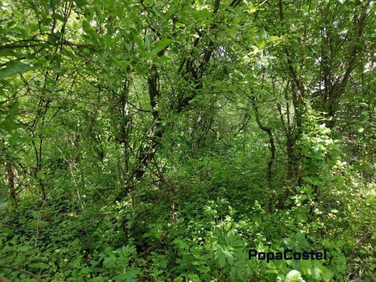 Otopeni Oituz teren 1000 mp deschidere 14 ml utilitati langa teren - 2