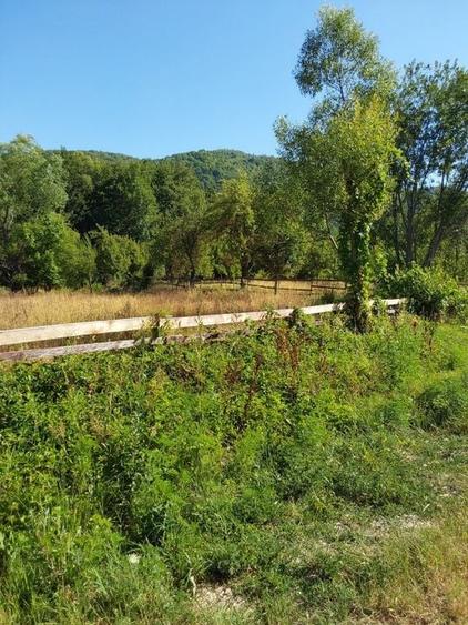 TEREN INTRAVILAN ZĂVOI\ZONA VALEA BISTREI, JUD.C-S - 6