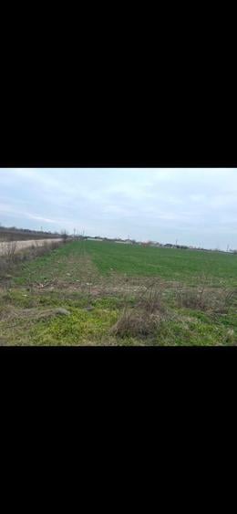 Teren intravilan 17.000 mp Gostilele | Investitie excelenta - 1