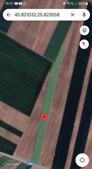 Teren de vanzare - 1