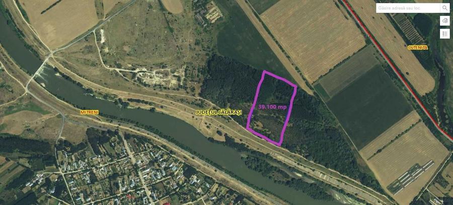 Teren extravilan (padure) de vanzare/exploatare lemn, Mitreni, CL - 3