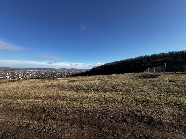 Oportunitate investitie 1153mp Tarnita - Micesti - 1