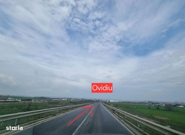 Teren zona hale Ovidiu - 3