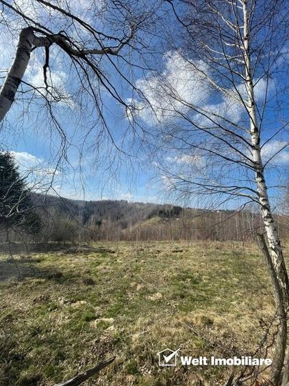 Teren cu panorama pentru cabana, Risca, Valea Fericirii - 4