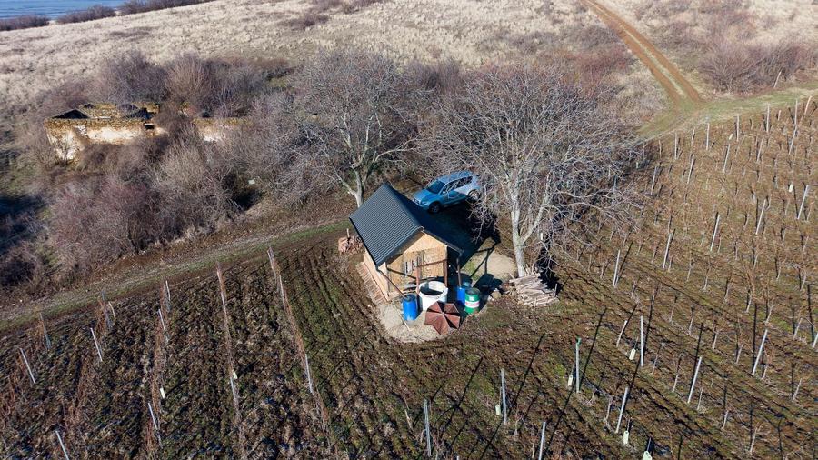 Vita-de-vie Premium  teren de 6800 mp în Covăsinț - 14