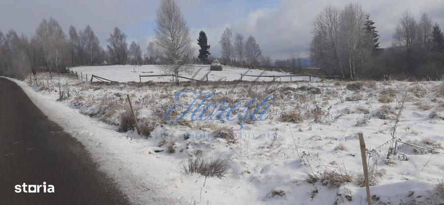 Teren intavilan, 3000 mp, front la stradal 16mp. zona Rasca - 1