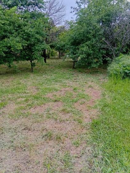 Casa individuala,  teren 1000mp  cu centrala termica pe gaz - 14