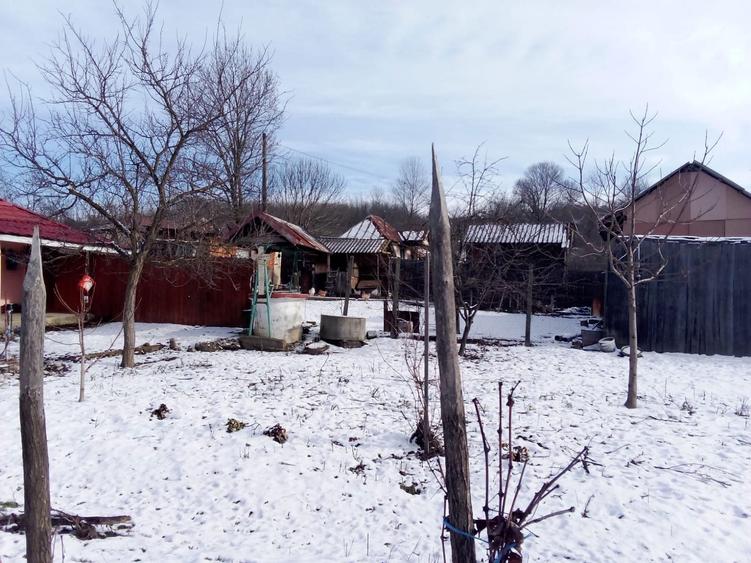 Casa de vanzare la tara - 1