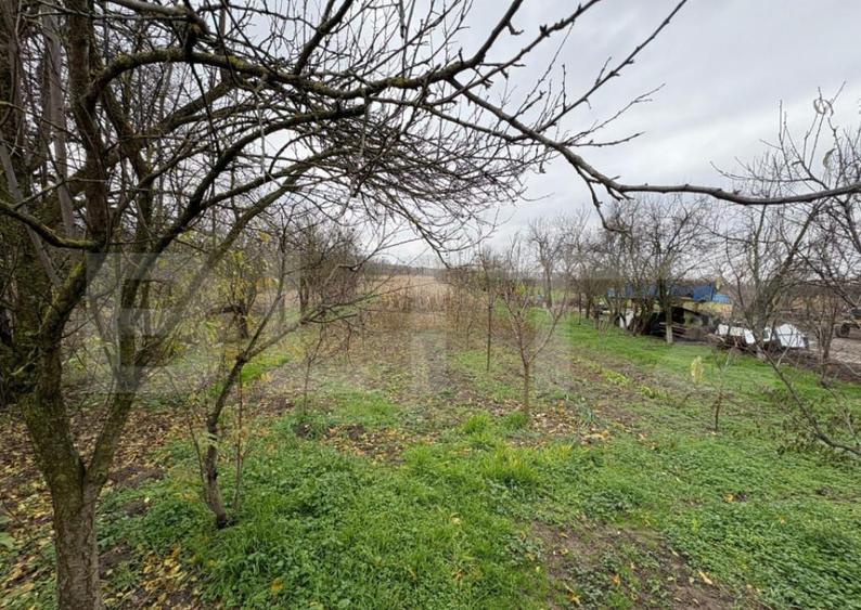 Casa deosebita cu teren generos Bercu - 8