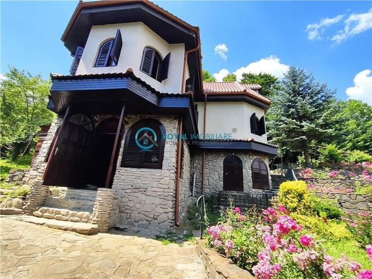 Royal Imobiliare -vanzare vila/ casa de vacanta zona CAMPINA - 29