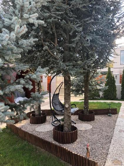 Vanzare vila strada Mesteacanului Otopeni - 20