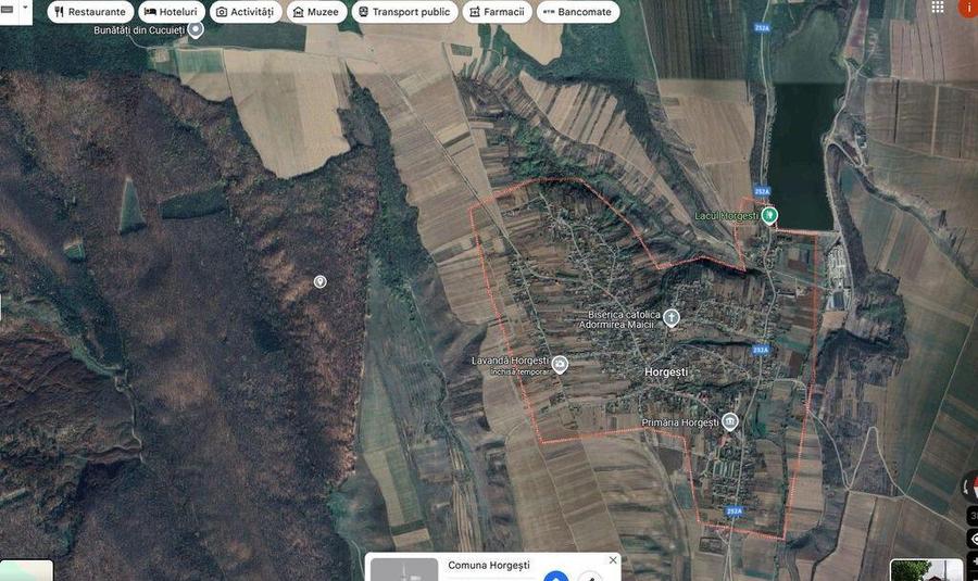 Teren extravilan padure, cota parte de 1/48 Horgesti, ID:... - 4