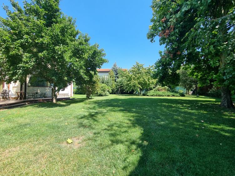 Chitila langa Lacul cu Nuferi si Padure - 21