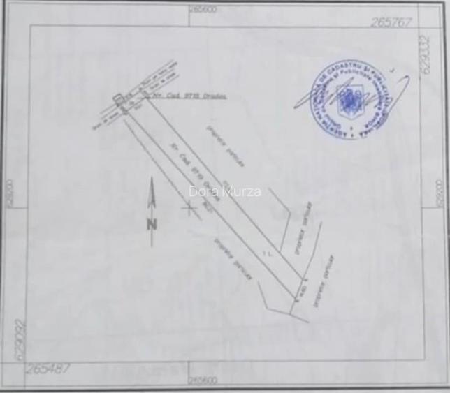 Teren Construcții intravilan de 2746 mp, în Episcopia Bihorului Teren Construcții intravilan de 2746 mp, în Episcopia Bihorului