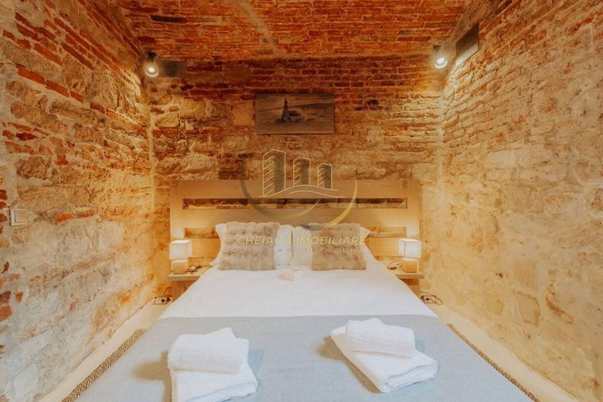 Cluj Napoca Apartament cu farmec istoric 40 mp, parter, in centrul orasului - 13