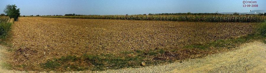 Teren intravilan  parcelabil Deschidere 44 ml  PARCELABIL - 1