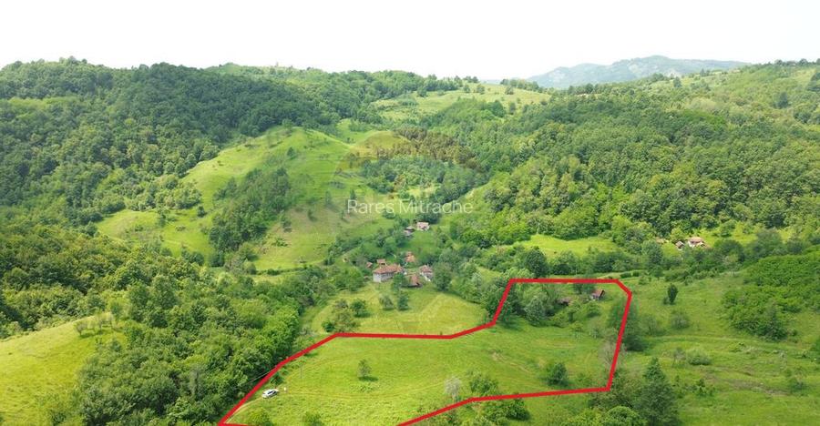 Teren intravilan de vis in Mun?ii Apuseni, curent + izv...