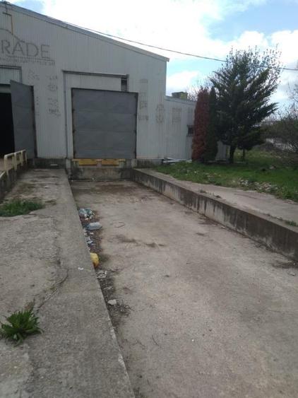 Zona Vest - Chitila - Centura - Integra - 3