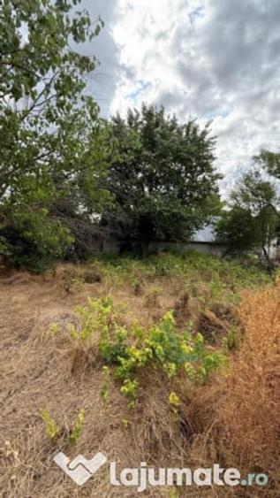 Casa cu teren Valcelele, Calarasi. - 6