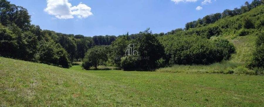 Teren de vanzare, 20.000Mp , Comuna Danes, drumul Crisului - 1