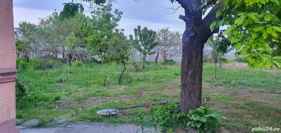 Casa Moldoveni Teleorman - 4