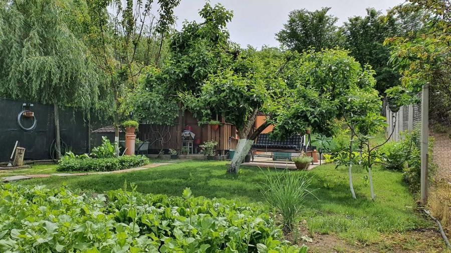 Vand apartament doua camere si teren - 2