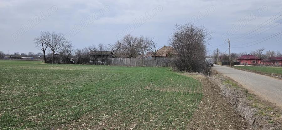 Casa batraneasca ?i teren intravilan - 3