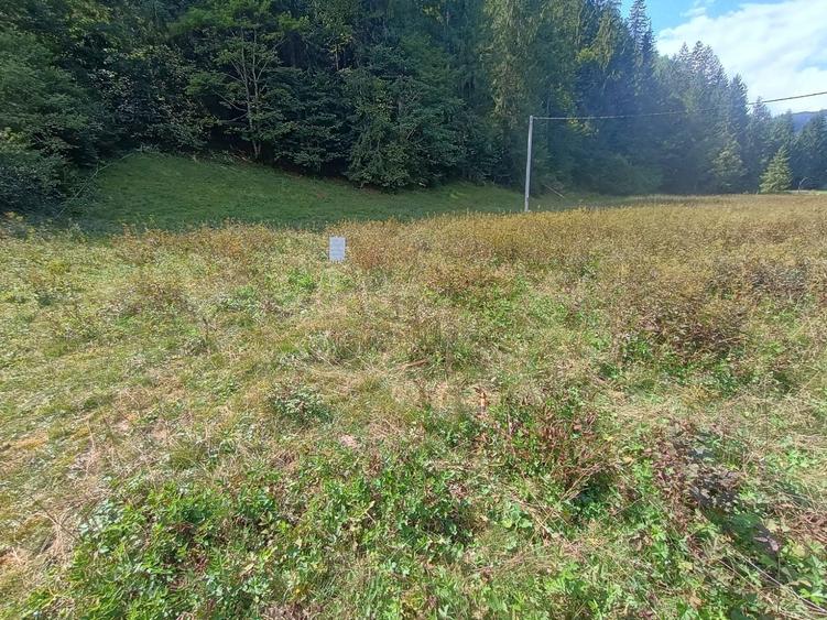 Vand teren pentru cabana Garda de Sus - 7