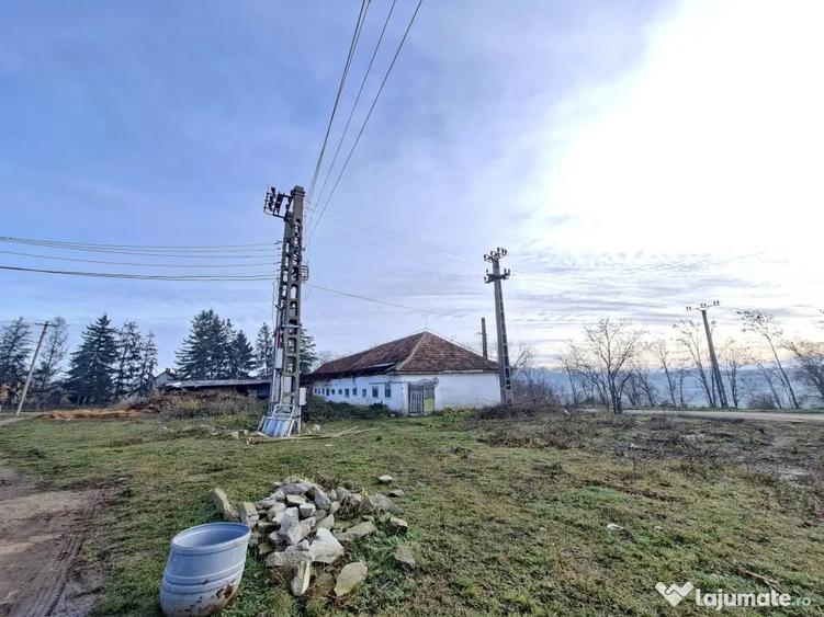 De vanzare 1 ha teren intravilan cu 2 grajduri acoperite cu tigla - 7