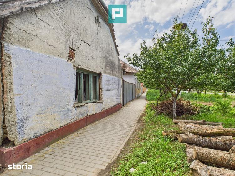 Teren de 1440 mp, în Secusigiu