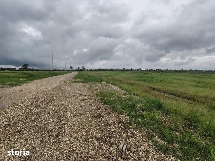 Teren intravilan - 860 mp - Deschidere 20 mp - Eforest - Crevedia - 6