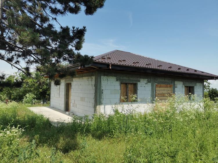 Casă cu 3 camere în Alexandru cel Bun