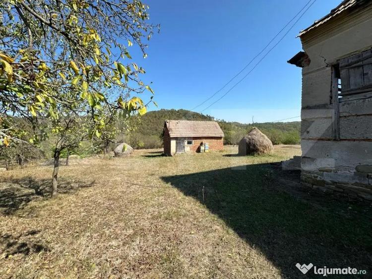 Teren intravilan de vanzare 14000mp,ideal pentru investitie, - 8