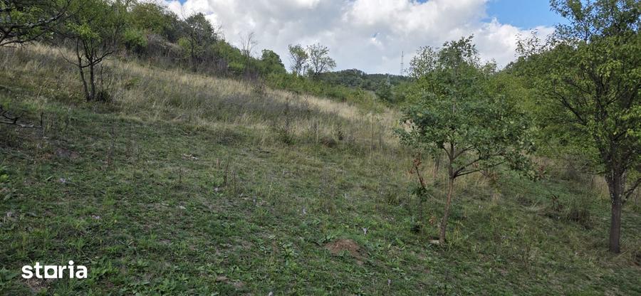 Teren mixt de vanzare, 9500 mp, acces asfaltat - 5