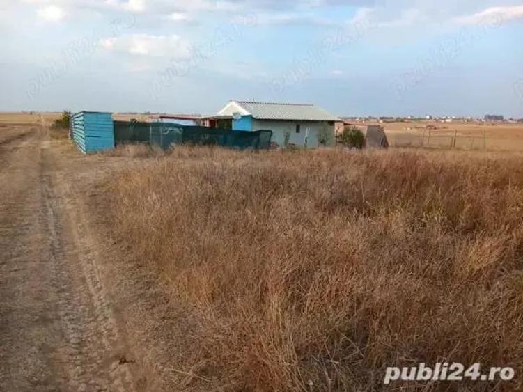 Proprietar - Vand 500 mp teren intravilan Lazu, jude?ul Constan?a, fara utilita?i - 8