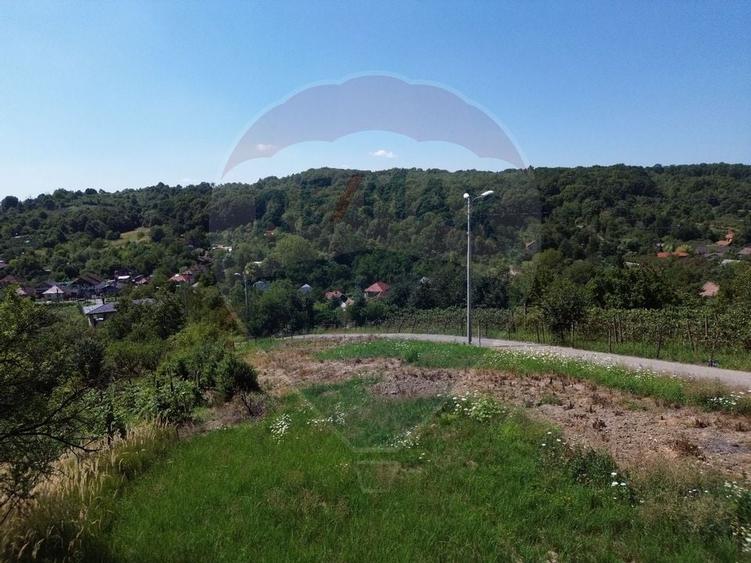 Teren extravilan de vanzare in Baia Mare- Valea Borcutului - 3