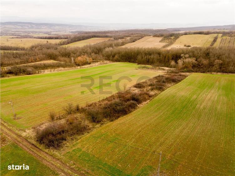 RECO Teren intravilan in Ceica Bihor - 2