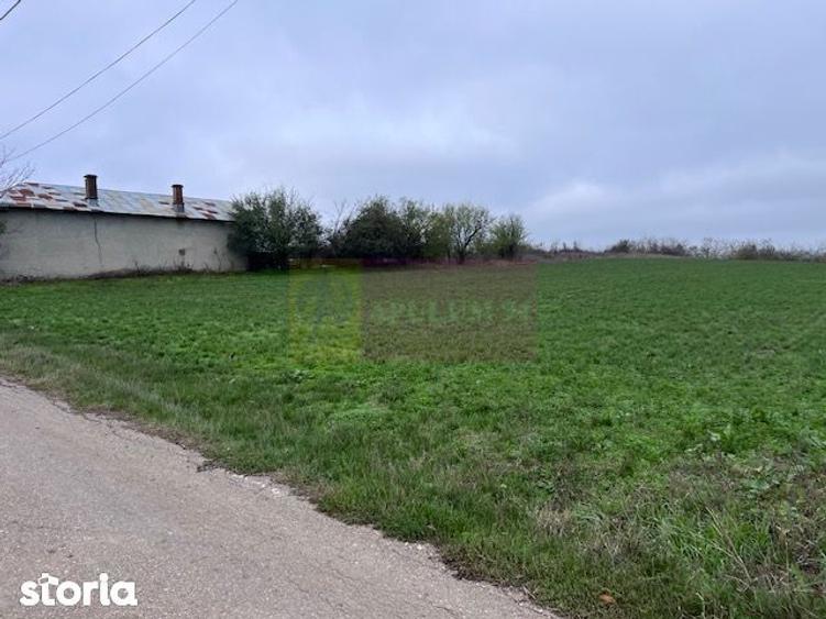 Teren Comana- strada Funieru. - 2