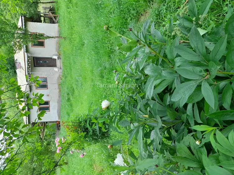 Inchiriere curte 12000m2 pa?une plus casa cu utilita?i minime