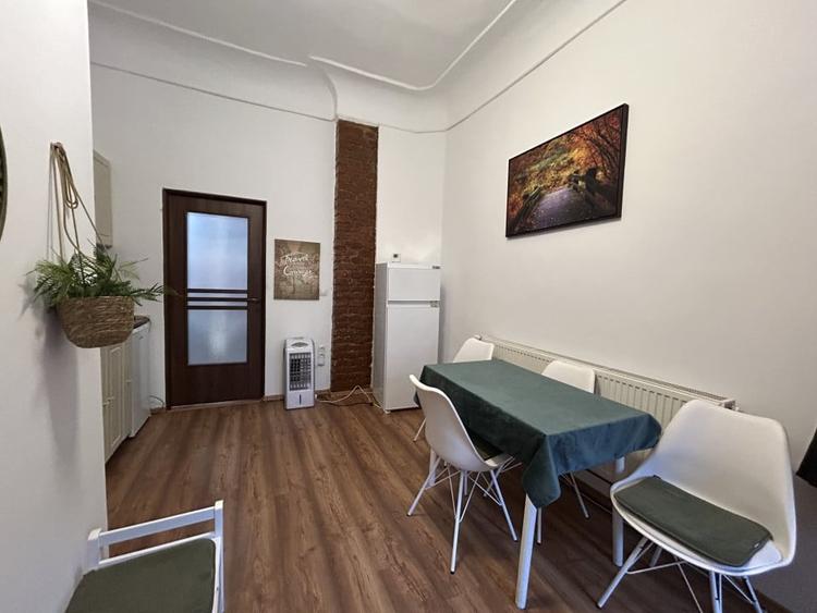 Apartament 1 camere 42 mp utili, etaj 1, Piata Unirii  PERFECT PENTRU INVESTIT - 9