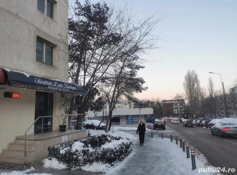 Spa?iu cu Vad, Cire?ica - 3