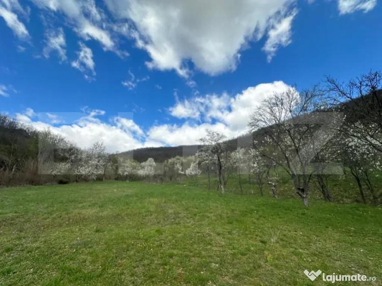 Teren 1 ha langa casa, acces asfalt, zona lini?tita, B - 1