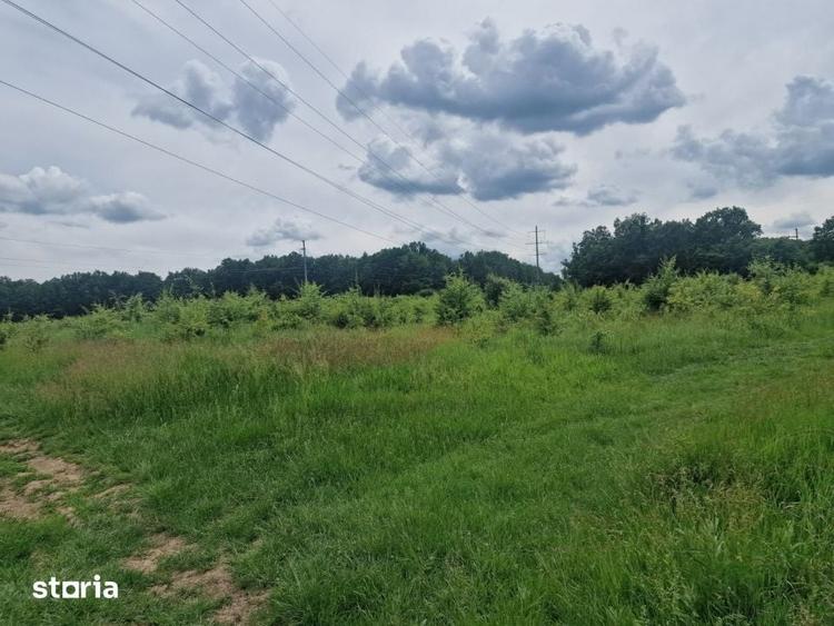 Teren de 12421 mp, în Găvana