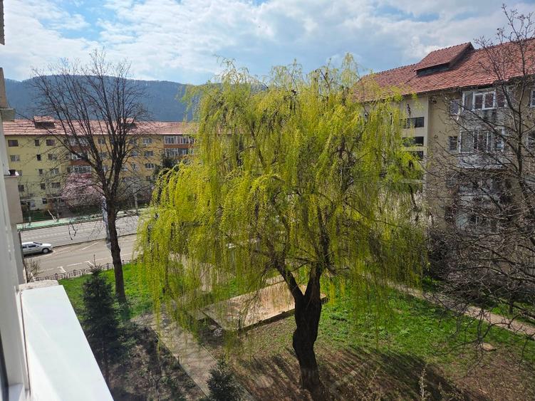 Ofer spre inchiriere  garsoniera 400E - 11