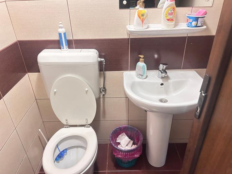 250 mp Birouri de inchiriat - 4