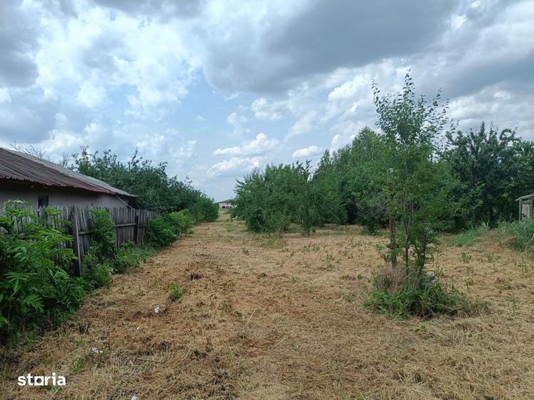 6 parcele intravilane de 485 mp in Mihai Voda, Bolintin Deal, Giurgiu - 6