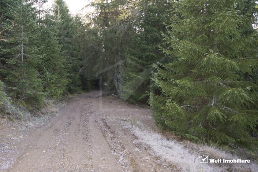Se vinde teren cat un munte in Apuseni - Poiana Horea - 12