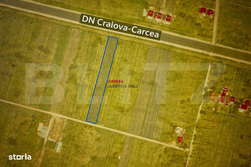 Teren intravilan 2000 mp, front 16,7 ml, vizibilitate la DN, Carcea - 2