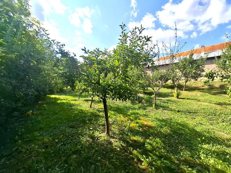 De vânzare   Casă în Soveja, Munții Vrancei - 5