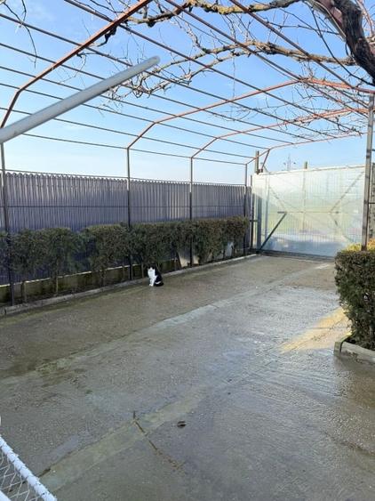 Căsuță cochetă zona Lazu - ieșire la șoseaua Cumpenei - 9